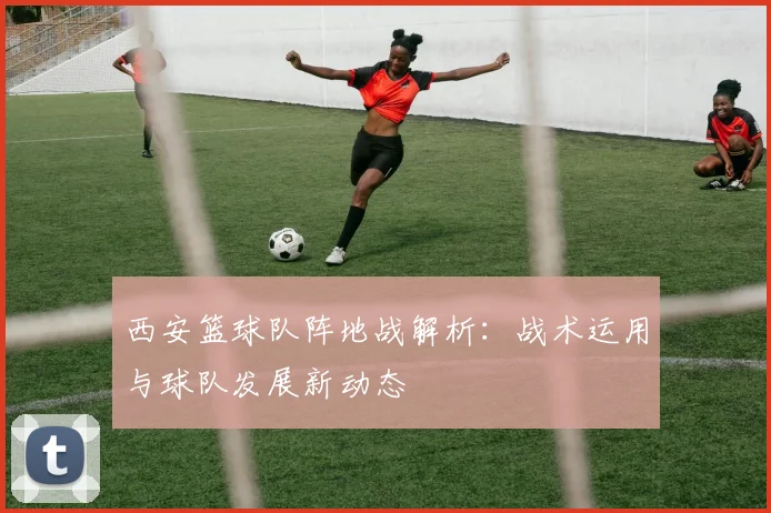 西安篮球队阵地战解析：战术运用与球队发展新动态