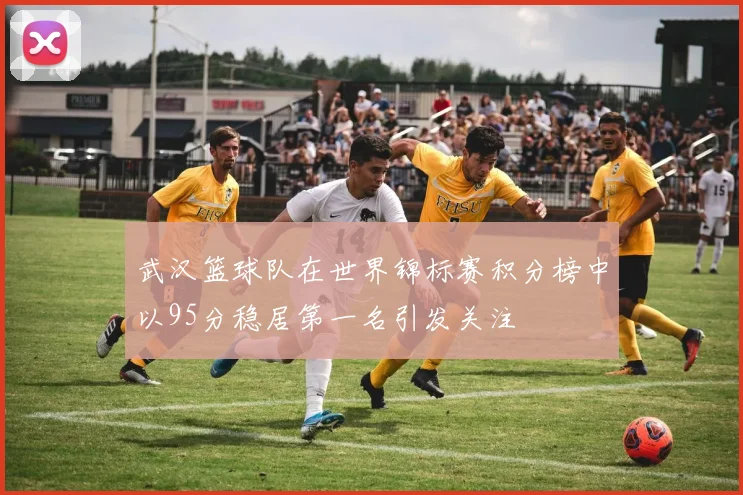 武汉篮球队在世界锦标赛积分榜中以95分稳居第一名引发关注