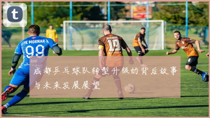 成都乒乓球队转型升级的背后故事与未来发展展望