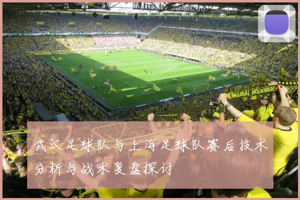 武汉足球队与上海足球队赛后技术分析与战术复盘探讨