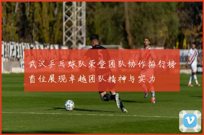 武汉乒乓球队荣登团队协作排行榜首位展现卓越团队精神与实力