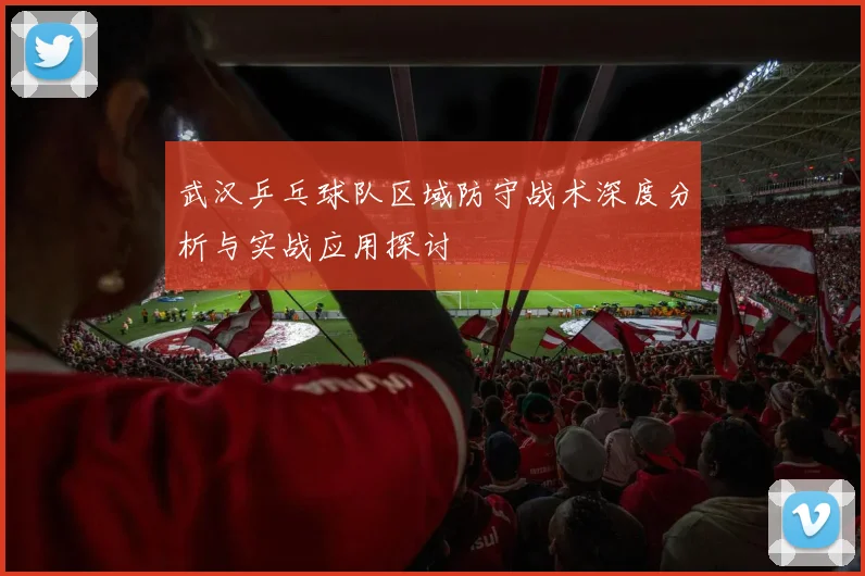 武汉乒乓球队区域防守战术深度分析与实战应用探讨