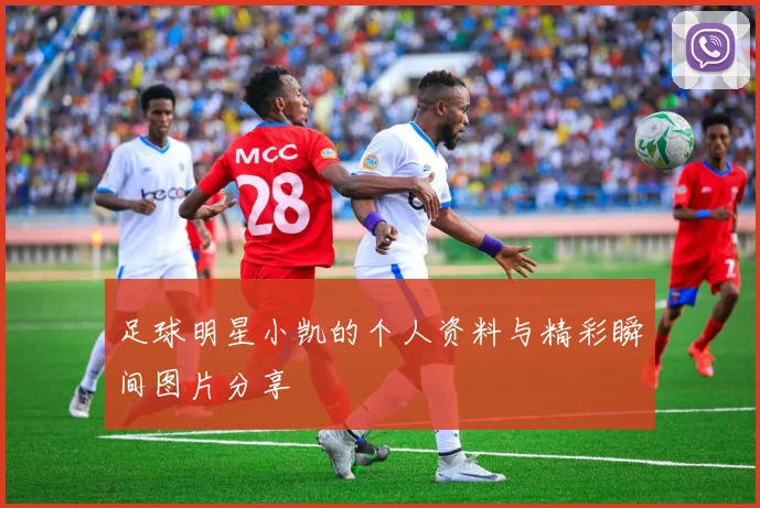 足球明星小凯的个人资料与精彩瞬间图片分享