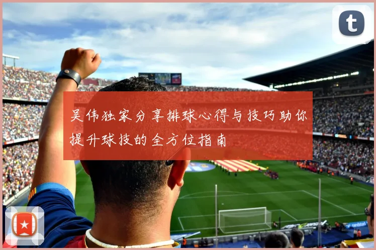 吴伟独家分享排球心得与技巧助你提升球技的全方位指南