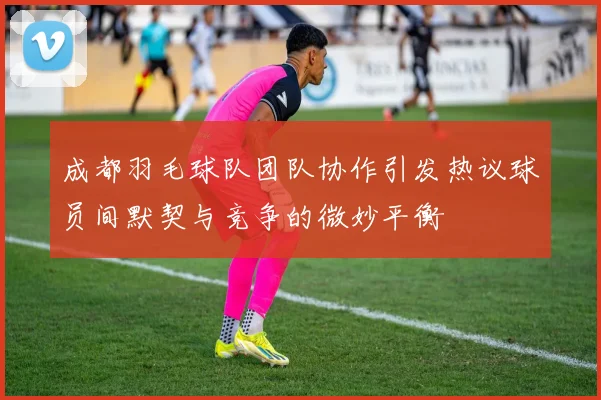 成都羽毛球队团队协作引发热议球员间默契与竞争的微妙平衡