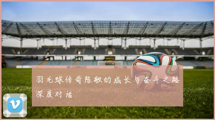 羽毛球传奇陈敏的成长与奋斗之路深度对话