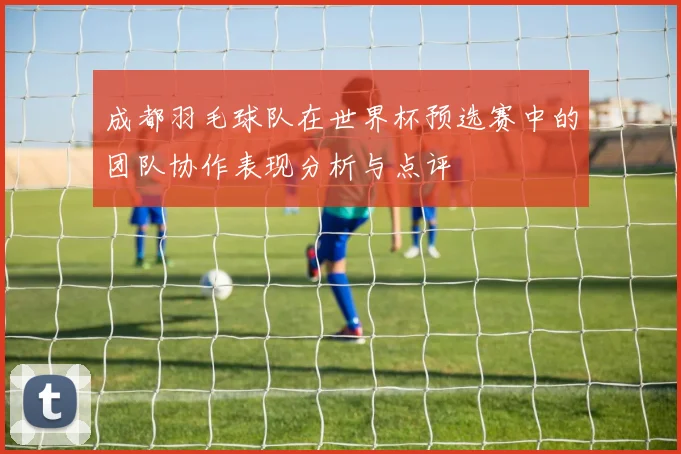 成都羽毛球队在世界杯预选赛中的团队协作表现分析与点评