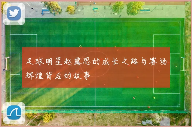 足球明星赵露思的成长之路与赛场辉煌背后的故事