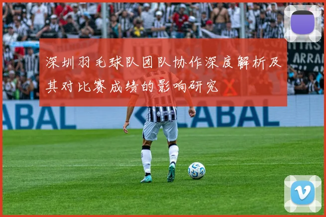 深圳羽毛球队团队协作深度解析及其对比赛成绩的影响研究