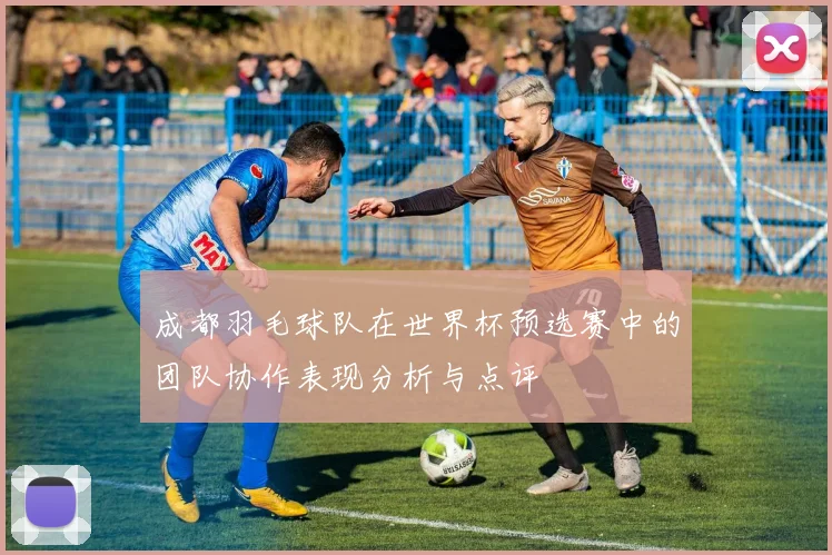 成都羽毛球队在世界杯预选赛中的团队协作表现分析与点评